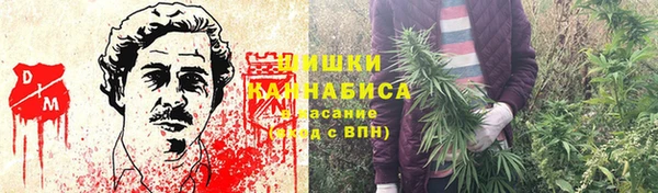 СК Абаза