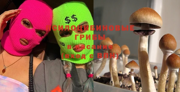 каннабис Абинск